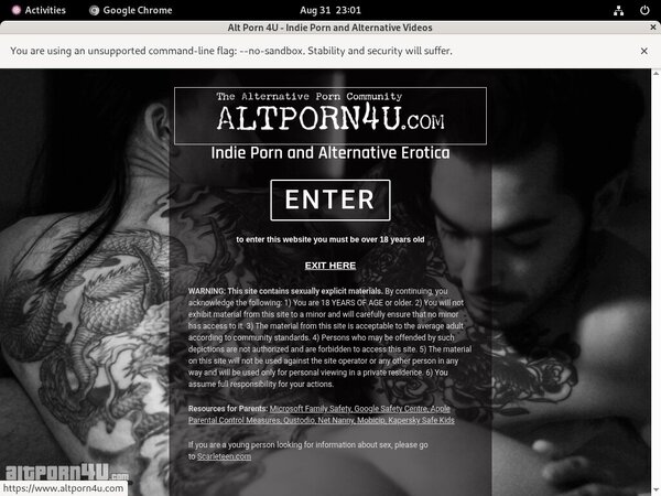 Altporn4u.com Passworter