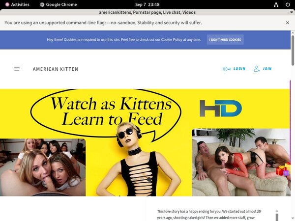 Americankittens Paypal Deal Americankittens Paypal Deal