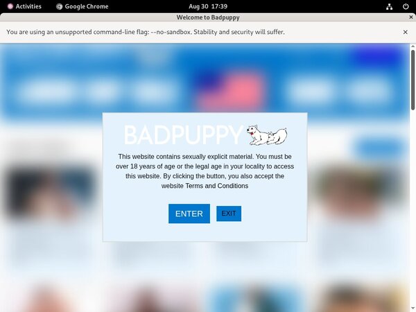 [Image: Badpuppy-Working-Accounts.jpg]