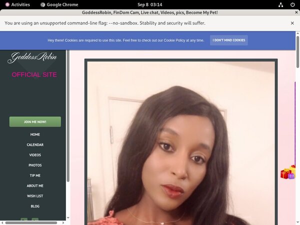 Bossy Robin With Canadian Dollars