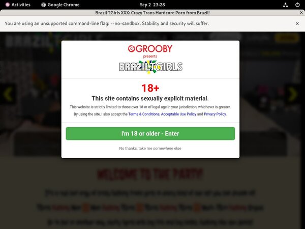 Brazil TGirls XXX Working Pass