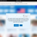 Buy Badpuppy Account