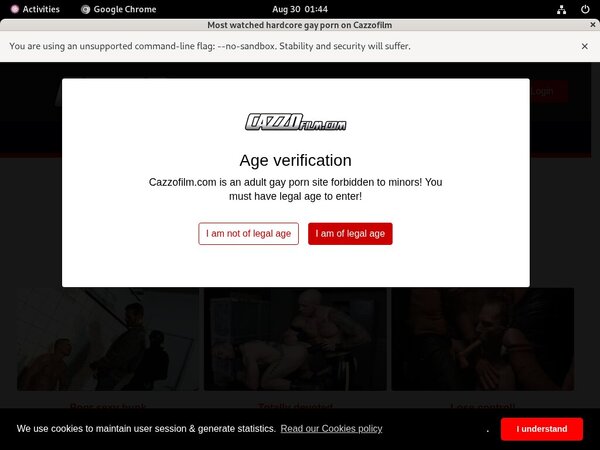 Cazzo.fr Real Passwords