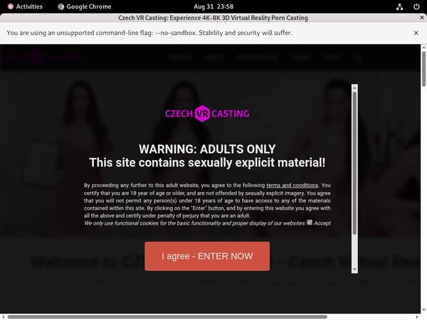 Czechvrcasting.com Discount Access
