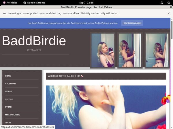 Discount BaddBirdie Trial Membership