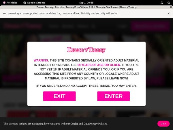 Dreamtranny.com Discount Site