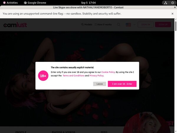 Free Passwords Camlust.com
