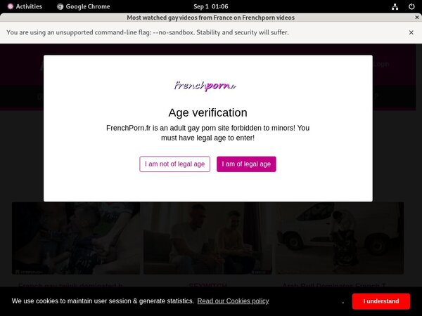 French Porn Gay Daily Pass