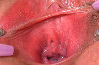 Gapemypussy Discount 50% s2