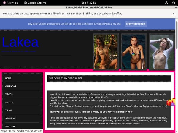 Get Lakea-model.com Promo Code