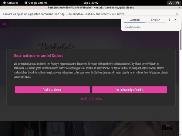 Get Parkplatzluder19 Free Logins