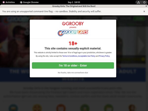 Groobygirls.com Passwords 2019