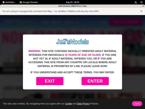 Jeff's Models With Directpay