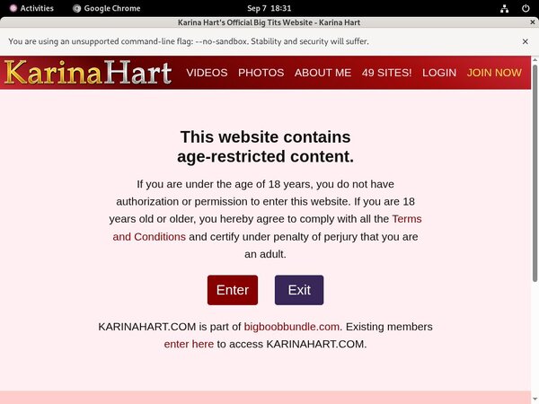 Karinahart.com Desktop
