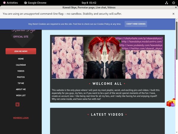 Kawaiiskye.modelcentro.com Free Trial Signup