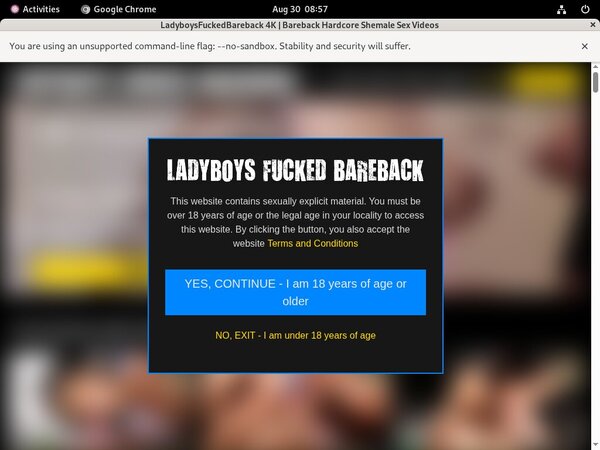 Ladyboys Fucked Bareback Pass Premium
