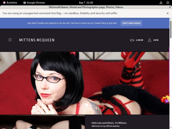 McQueen Mittens Accounts