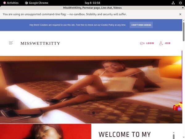 MissWettKitty Logins 2018