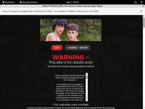 Nastytwinks.com Co