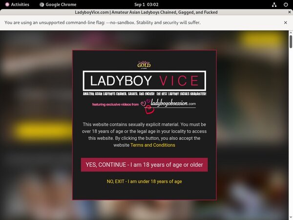 New Free Ladyboy Vice Accounts