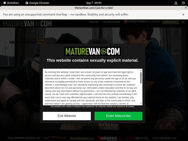 New Mature Van
