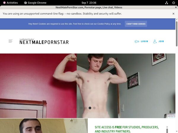 NextMalePornStar.com Paysafecard