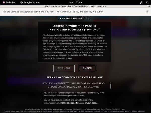 Premium Lethalhardcore.com Accounts
