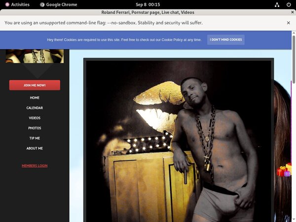 Rolandferrari.modelcentro.com Porn Reviews