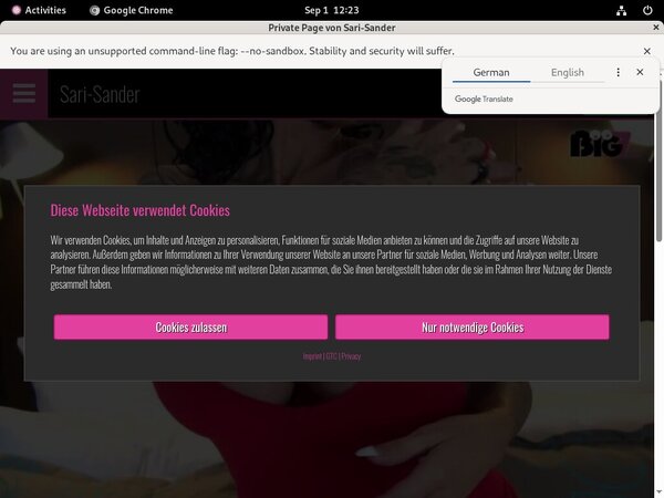 Sari Sander With Amex