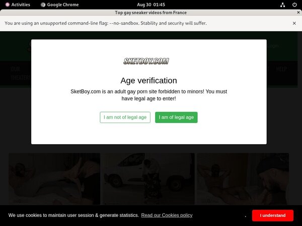 Sket Boy Account Passwords