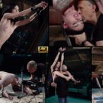 Subspaceland Hd Sex
