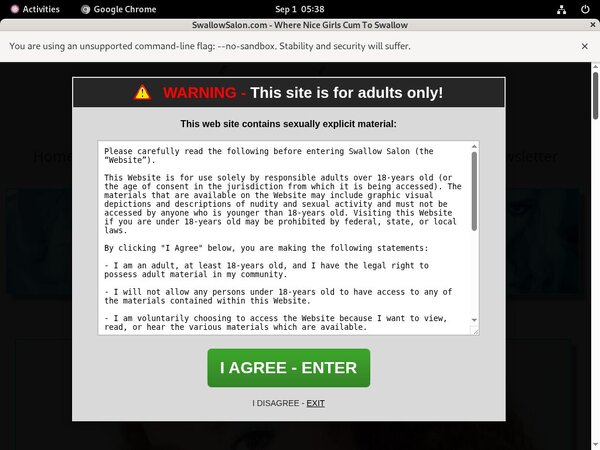 Swallow Salon Accounts Passwords