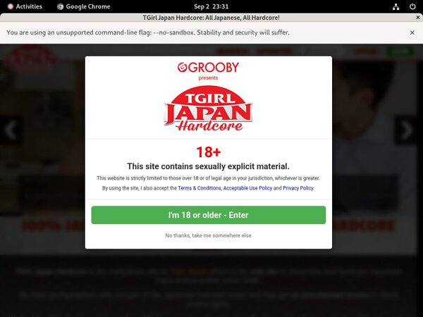 Tgirljapanhardcore Porn Review