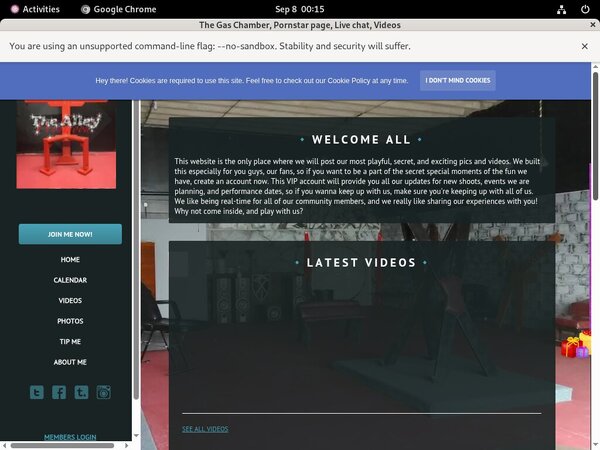 Thealleywynwood.modelcentro.com Website Accounts
