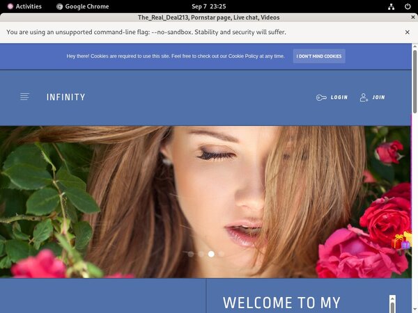 Therealdeal213.modelcentro.com Member Review