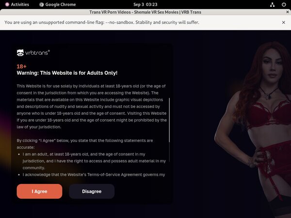 VRB Trans Account List