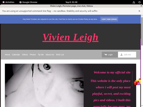 Vivienleighandme.modelcentro.com One Year