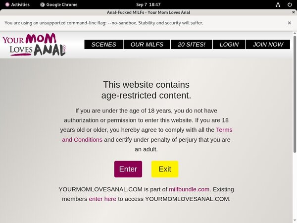Yourmomlovesanal.com Updated Passwords