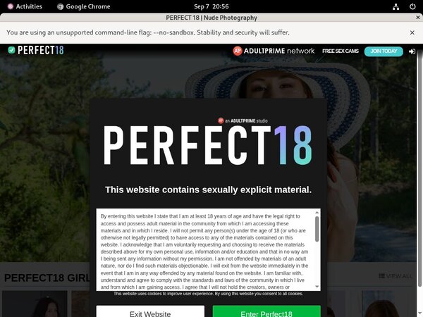 Perfect18 Webcam