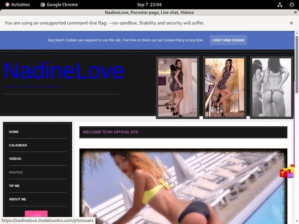 Paypal For Nadinelove.modelcentro.com