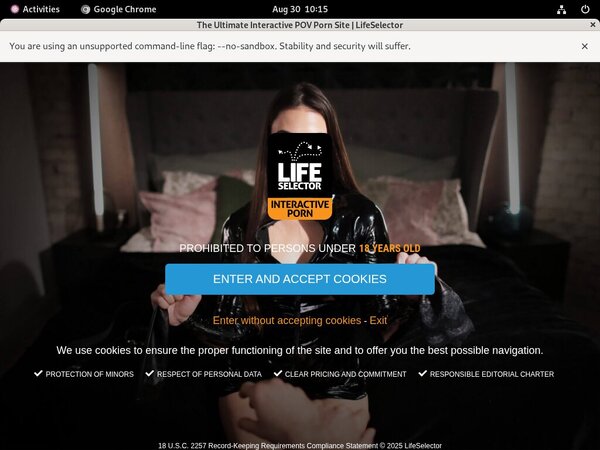 Life Selector Pov