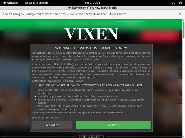 Vixen.com Tv