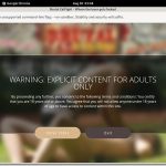 Brutalcatfight.com Free Hd