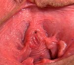 Gapemypussy.com With Australian Dollars